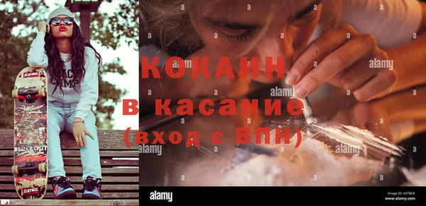 мяу мяу мука Горно-Алтайск