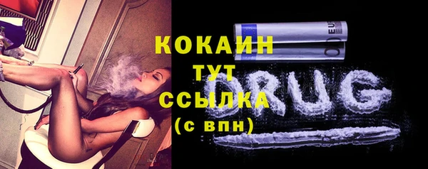 ECSTASY Гусь-Хрустальный