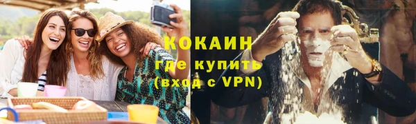 дмт Гусев